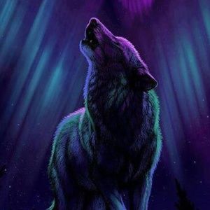 Meet your Posher, Linzy